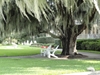 Picture of Polywood Curved Back Adirondack Armchairs Recycled Plastic