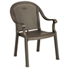 Sumatra Classic Plastic Resin Stacking Arm Chair