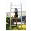 Vertical Ladder for Public Parks