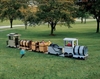 Coal Car Recycled Plastic Express Playground Set 