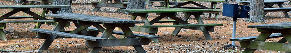Exploring the Benefits of Outdoor Dining: Why Picnic Tables are a Must-Have for Parks 