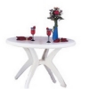 Ibiza 46 Inch Plastic Resin Round Dining Table