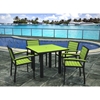 Picture of Polywood Euro Style Dining Chair Recycled Plastic Polywood Slats with Aluminum Frame. Set of 2.