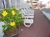White Bahia Plastic Resin Chaise Lounge