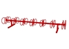 10 Ft. 14 Space Circle Bike Rack  -  Red