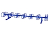 10 Ft. 14 Space Circle Bike Rack -  Royal Blue