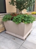 48" Square Concrete Planter, 1700 Lbs.