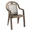 Savannah Plastic Resin Stacking Armchair