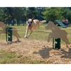 Rover Jump Over - Field Equipment Jump Bar with Adjustable 3-Position Pole