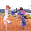 Parallel Bars Powder-Coated Steel Public Park Equipment - 136 lbs.
