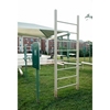 Vertical Ladder for Public Parks Powder-Coated Steel Frame with In-Ground Mount - 118 lbs.