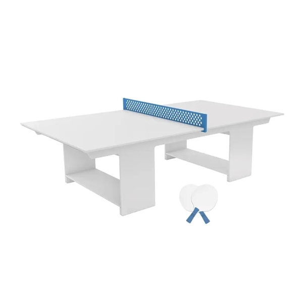 Ping Pong Table