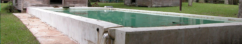 Princess Place Preserve: How A Palm Coast Love Story Resulted in Florida’s First Inground Concrete Swimming Pool and One of the U.S. Registered Historical National Parks