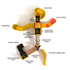 Fortnight Festival Commercial Playground Equipment - Ages 2 to 12 yr - Top