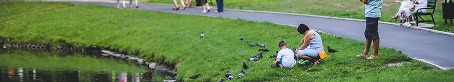 Relive Happy Memories and Create New Ones at a Local Park 