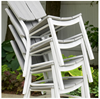 Avant MGP Dining Chair 