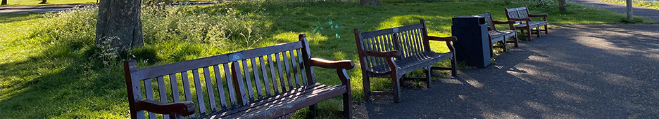 The Impact of Furniture Layout on Park Visitor Engagement