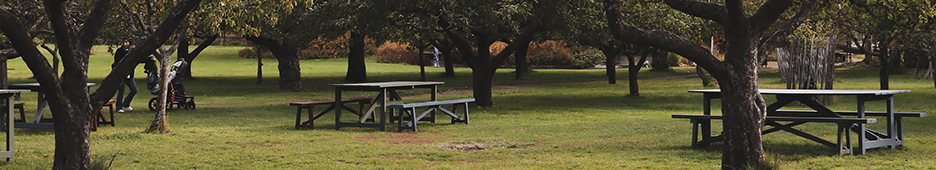 Comfort in the Great Outdoors: Public Furniture that Encourages Park Use