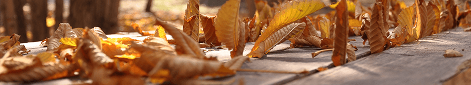 Maintenance Tips for Keeping Your Wooden Picnic Tables in Top Shape