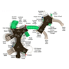 PMF022 - Bonita Bay Large Commercial Playground Equipment - Ages 5 To 12 Yr  - Top