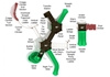 PKP253 - Oceanside Massive Commercial Playground Equipment - Ages 5 To 12 Yr  - Top