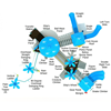 PTH029 - Fancy Frog Large Commercial Playground Equipment - Ages 5 To 12 Yr - Top